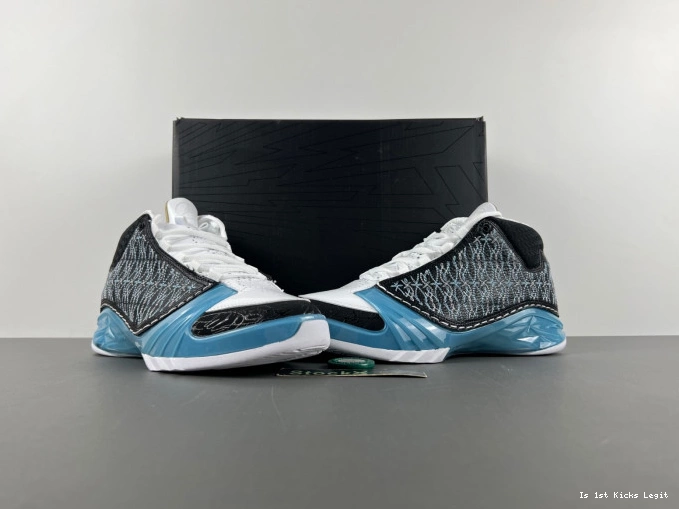 318376-041 Jordan 23 UNC 0531